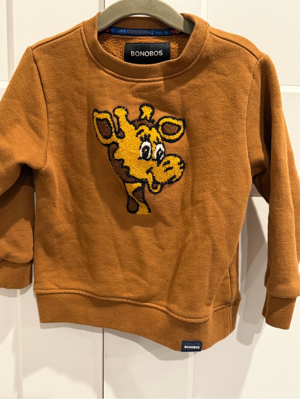 Bonobos Kids' Rust Brown Geofforey Sweatshirt